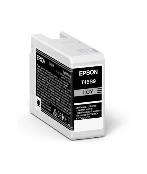 Cartouche d'encre EPSON Gris clair T46S9 25 ml