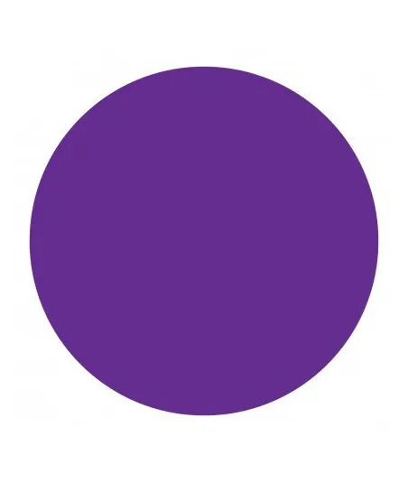 Cartouche d'encre CANON PFI-2700VI  Violet  700 ml