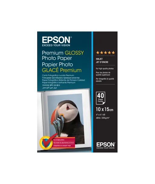 Papier Photo Epson Brillant 255 g/m² (10*15cm) C13S042153