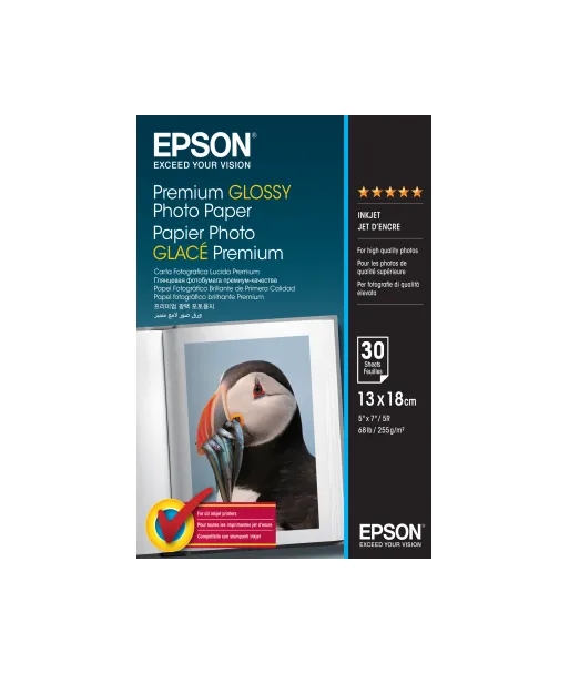 Papier Photo Epson Brillant 255 g/m² (13*18cm) C13S042154