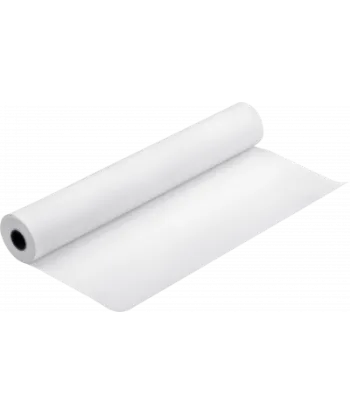 Papier EPSON Production Canvas Matte 320 g/m² A1 (0,610x12,2m)