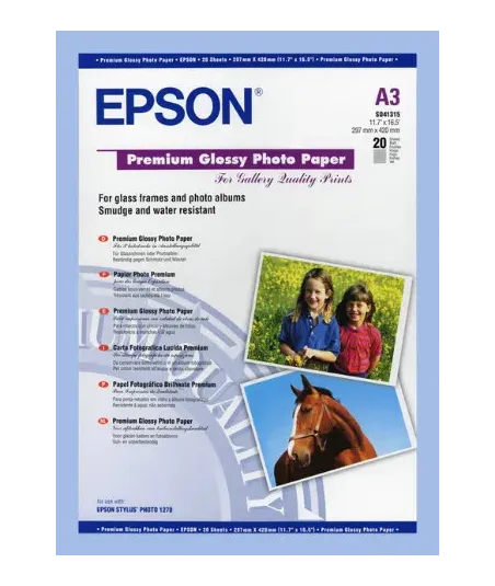 Papier Photo Epson Premium Glossy 255g  A3+ (330 x 483 mm)  20 feuilles | traciel