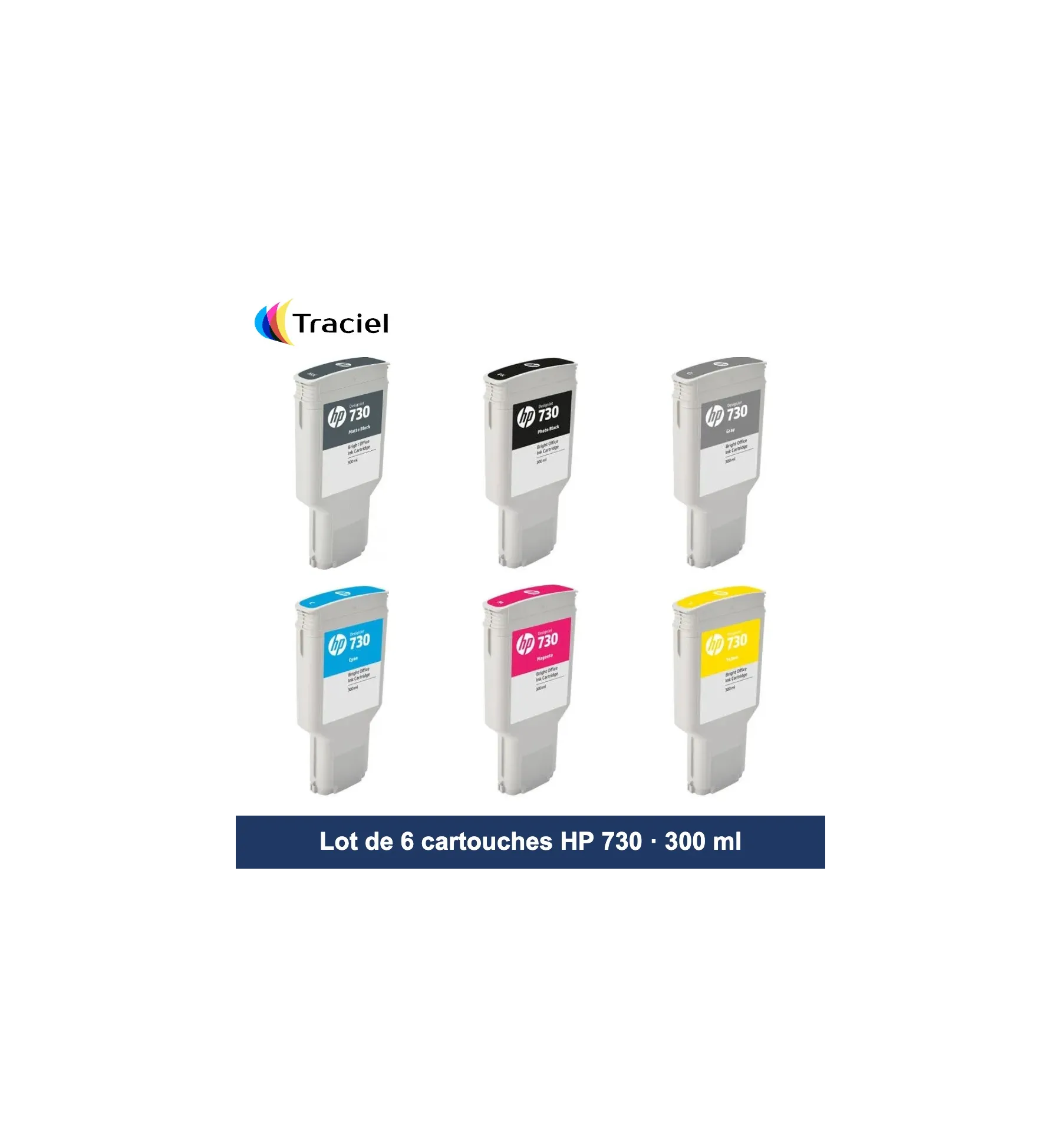 Lot de 6 cartouches HP 730 300 ml