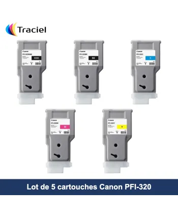 Lot de 5 cartouches Canon PFI-320