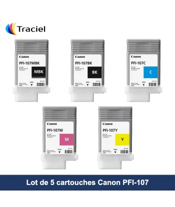 Lot de 5 cartouches Canon PFI-107