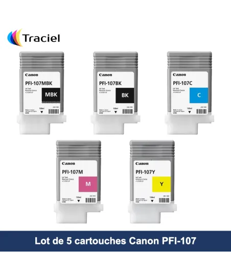 Lot de 5 cartouches Canon PFI-107