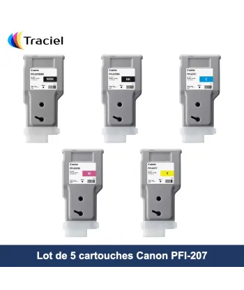 Lot de 5 cartouches Canon PFI-207