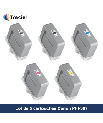Lot de 5 cartouches Canon PFI-307