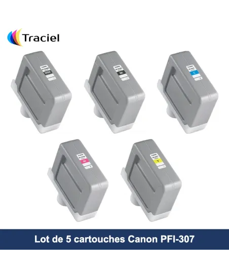 Lot de 5 cartouches Canon PFI-307