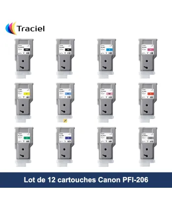Lot de 12 cartouches Canon PFI-206