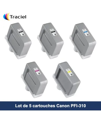 Lot de 5 cartouches Canon PFI-310