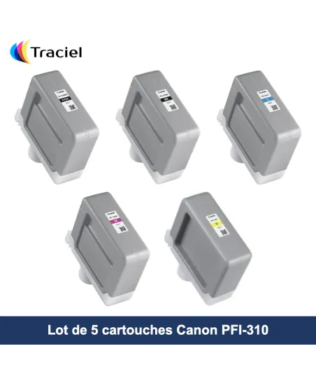 Lot de 5 cartouches Canon PFI-310