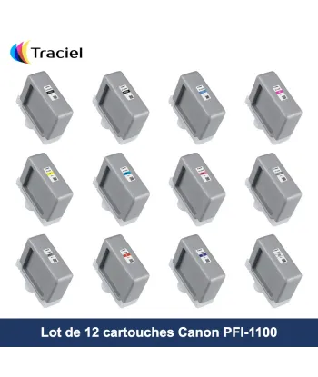 Lot de 12 cartouches Canon PFI-1100